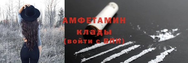 эйфоретик Гусь-Хрустальный