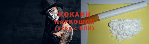 крисы Дмитровск