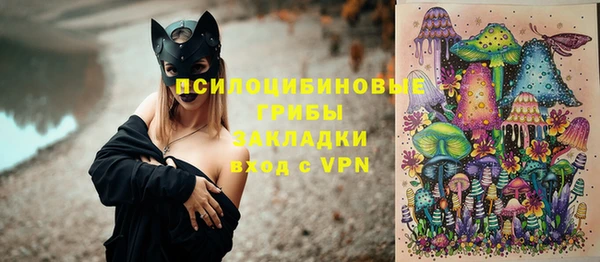 эйфоретик Гусь-Хрустальный
