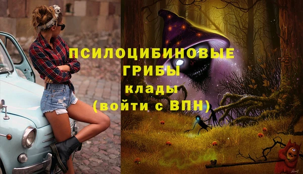 Альфа ПВП Дмитров