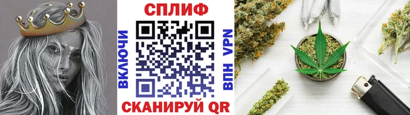 Шишки марихуана сатива  закладка  Братск 